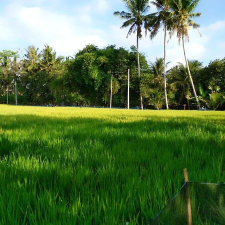 Uma Loka Villa By Shm Ubud Eksteriør billede