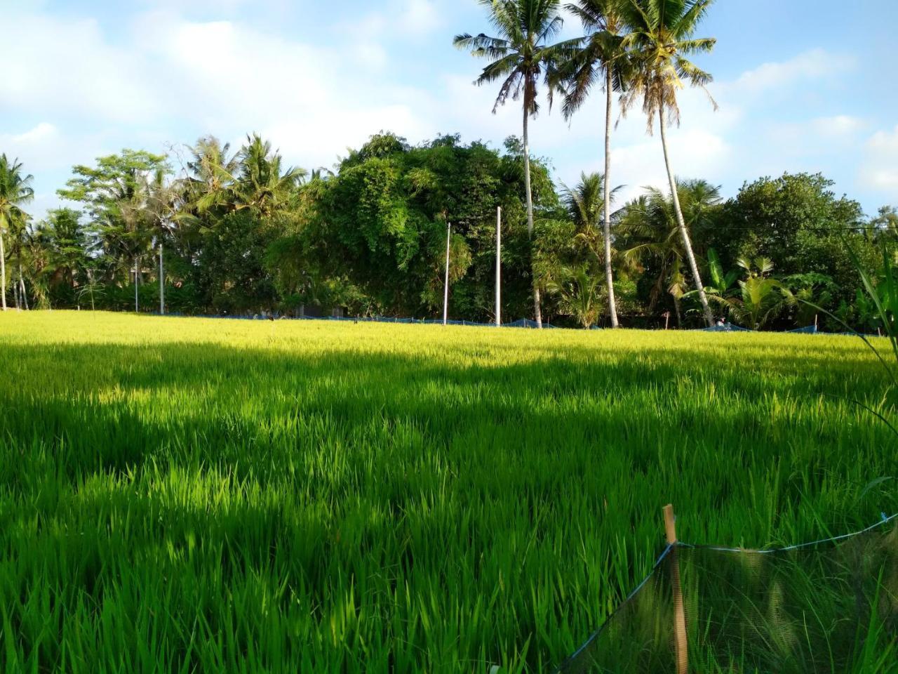 Uma Loka Villa By Shm Ubud Eksteriør billede