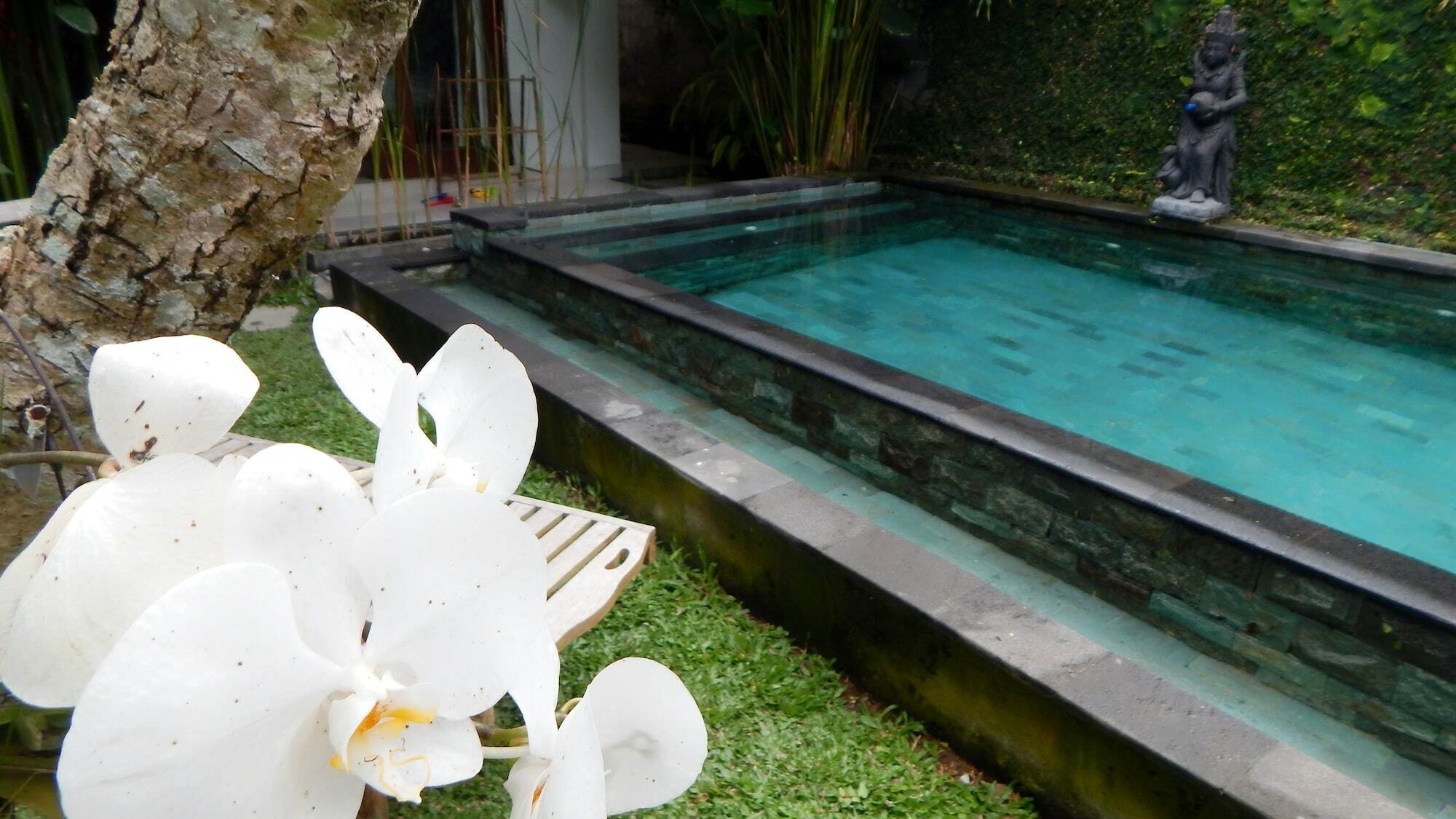 Uma Loka Villa By Shm Ubud Eksteriør billede